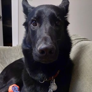 Meet your Posher, Sabrina